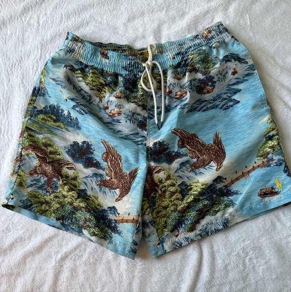 Polo Ralph Lauren Scenic Blue Swim Trunks - Picture 1 of 5